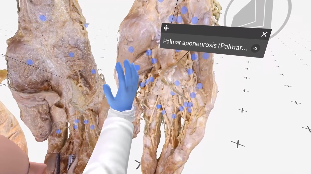 The hand thumbnail 3