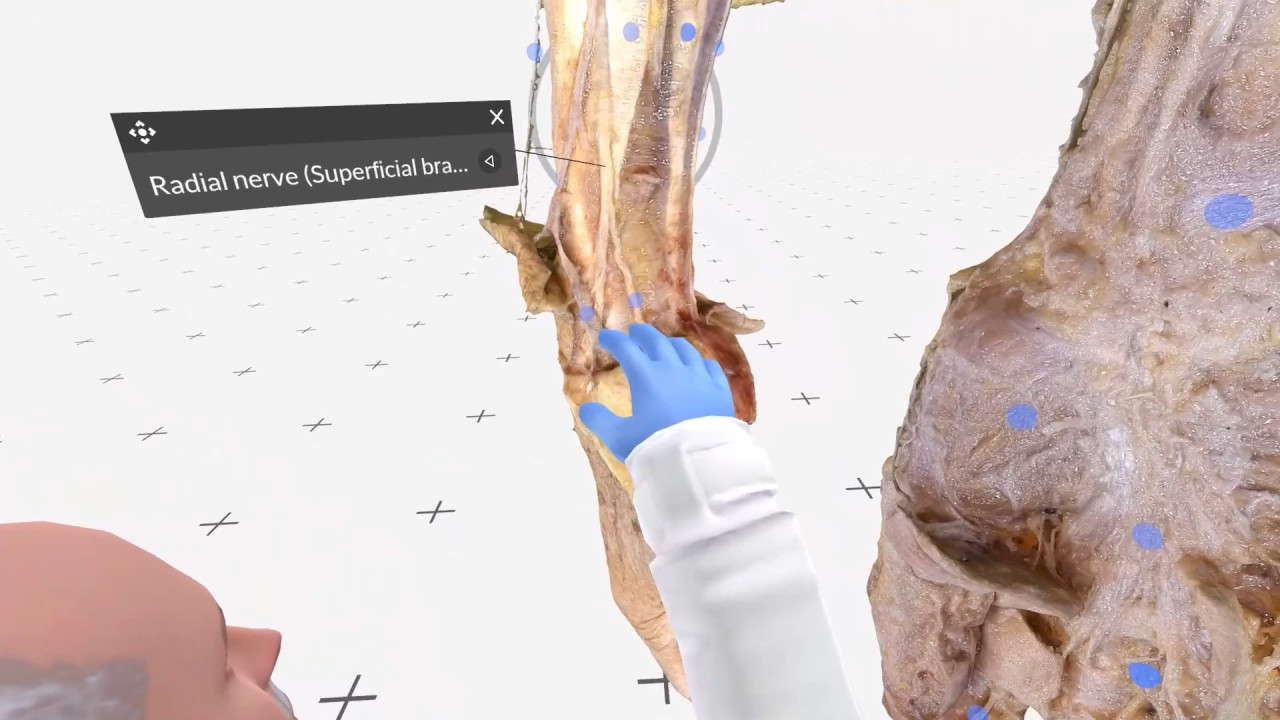 The hand thumbnail 4