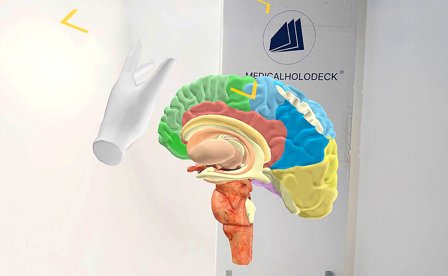 Update July 2025 - brain