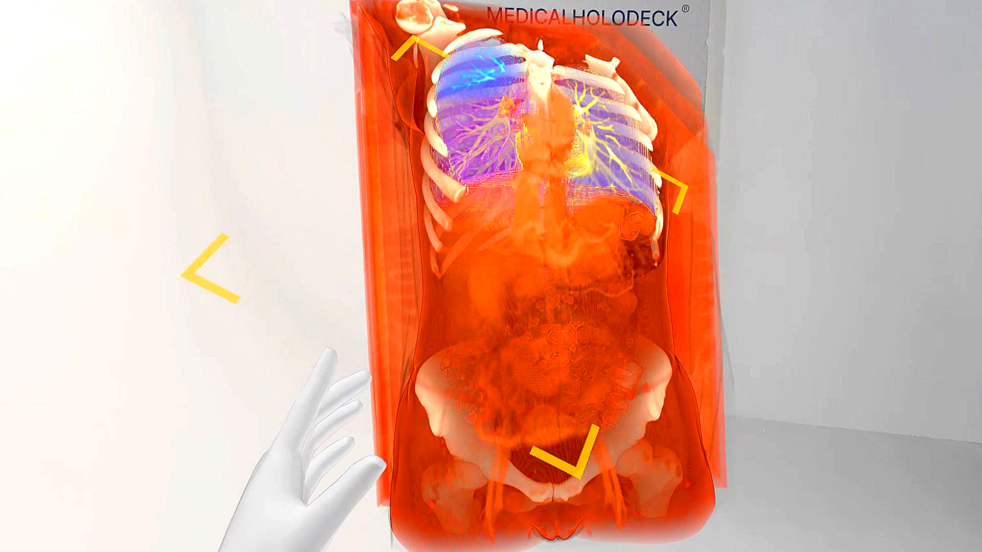 Update July 2025 - lungs