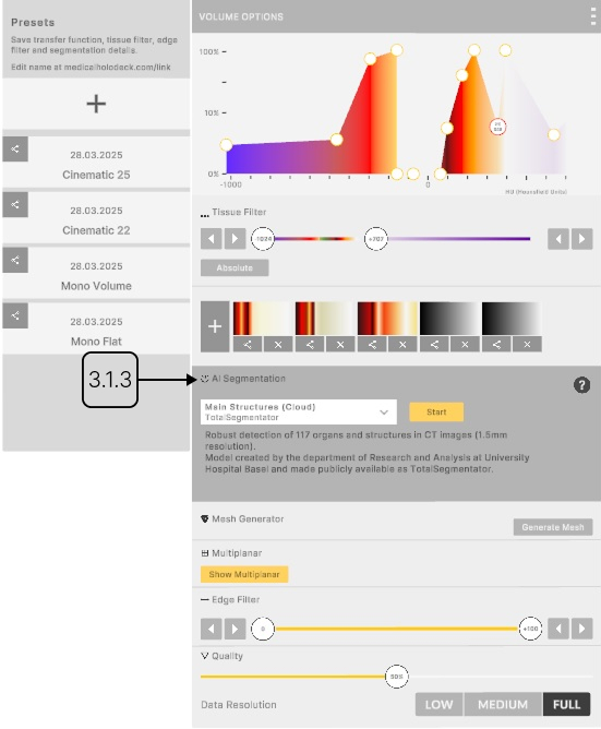 Running AI segmentation