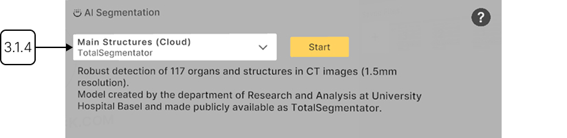 Running AI segmentation